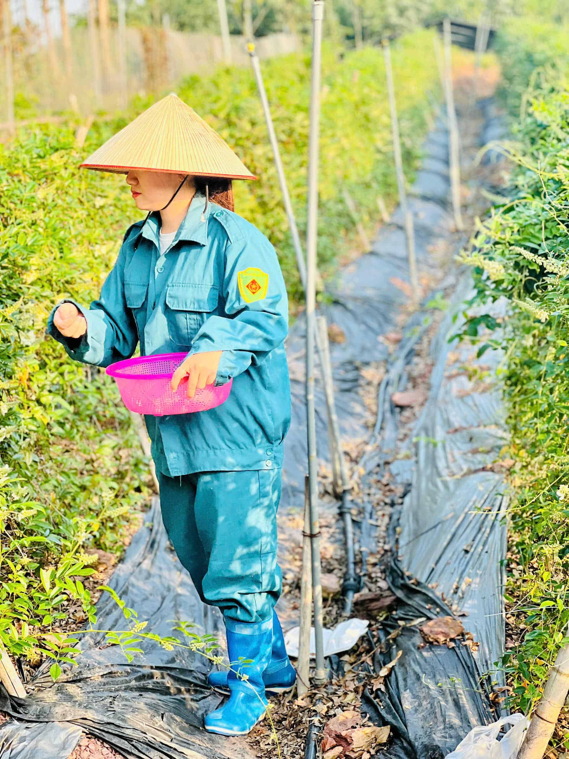 Chứng chỉ