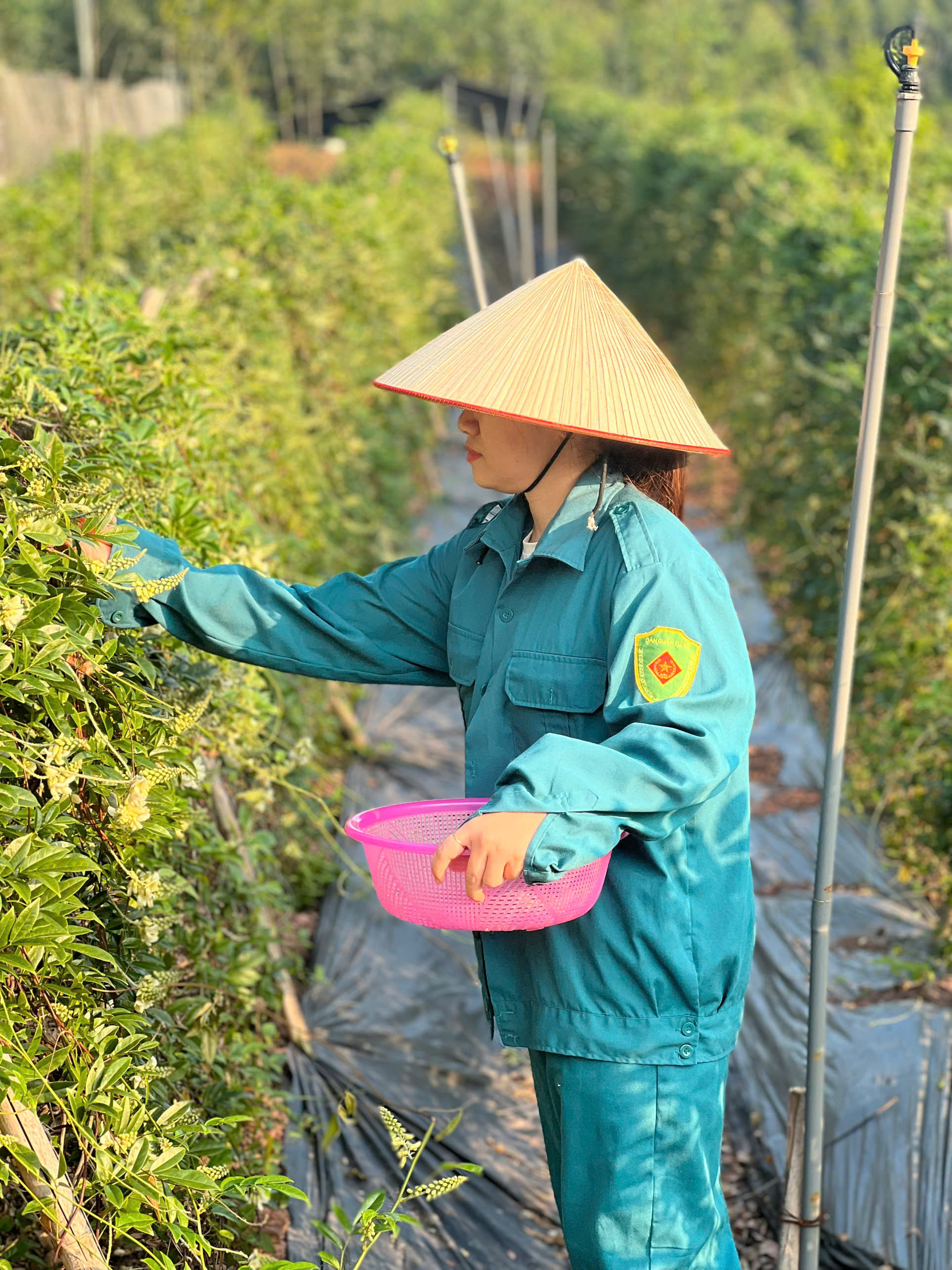  Báu vật của vùng đất Bắc Giang
